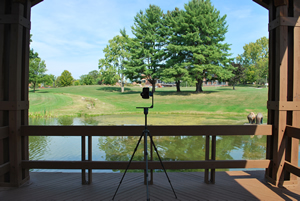 Skidmore College Pond in July Skidmore College Pond in July