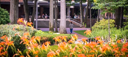 Summer at Skidmore